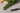 Set cours de restauration Maitre