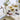 Cuchillo Santoku Serie Riviera 140 mm (4)