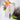 Cuchillo Cocinero Serie Eclipse 200 mm (4)