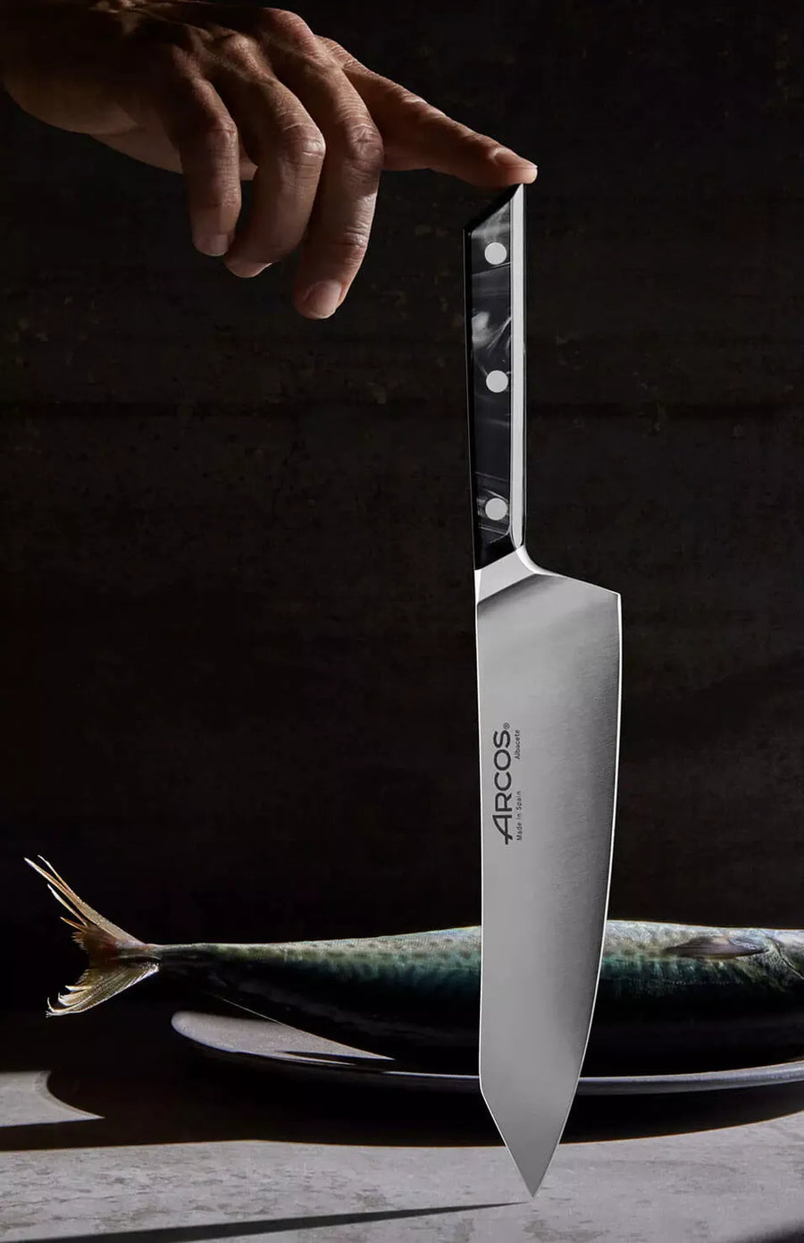 Cuchillo cocinero serie eclipse sujetado en vertical con un pescado detrás